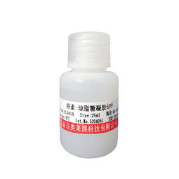 多聚賴氨酸 非臨床診斷用生物試劑的關鍵角色與應用