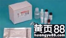 探索生命科學邊界 武漢市古泰生物技術有限責任公司主營試劑、抗體與耗材業務解析